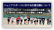 ジュニアスポーツに対する応援活動について