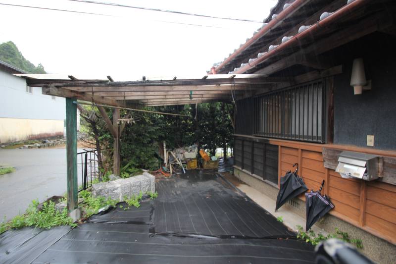 庭