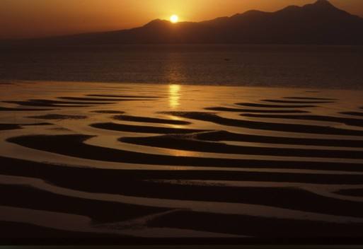 御輿 来 海岸