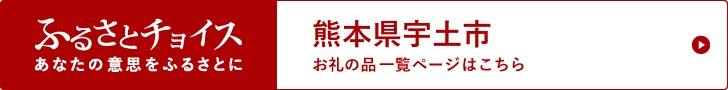 熊本県宇土市の自治体情報　ふるさと納税「ふるさとチョイス」リンク画像