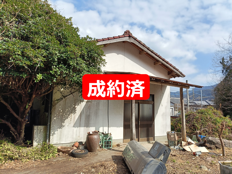 成約