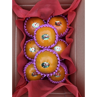 澤田果物の太秋柿の画像