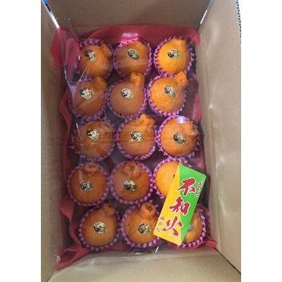 澤田果物の不知火の画像