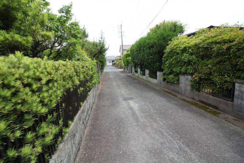 道路
