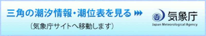 気象庁　海洋健康診断表　リンク画像です