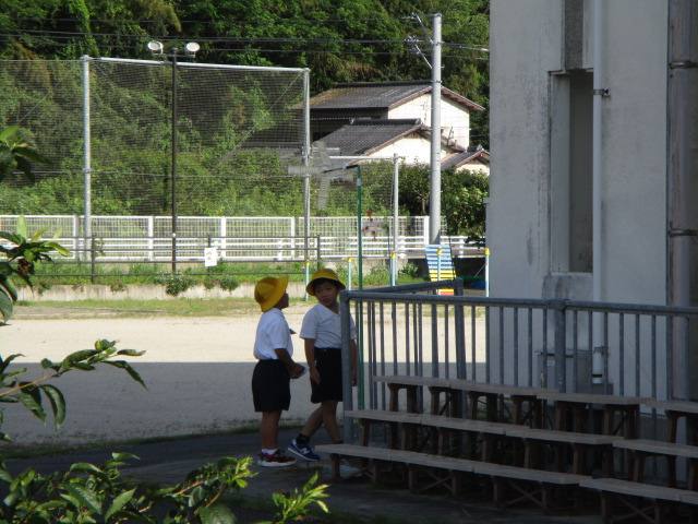 風