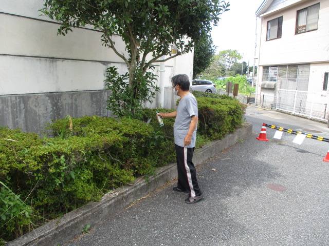 蜂