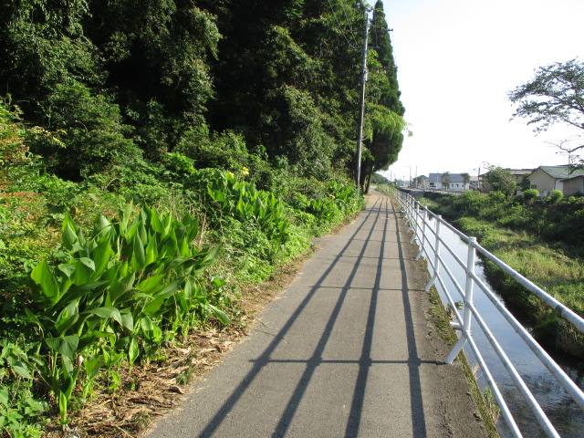 登校