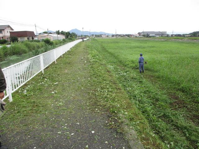 除草