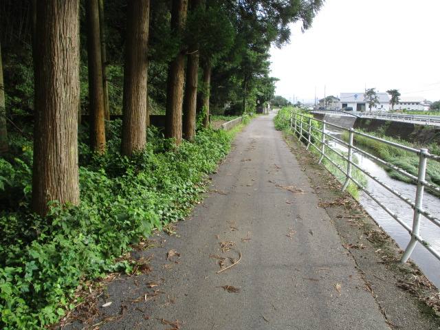 道