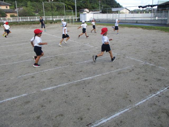 朝