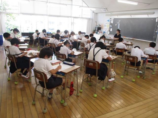 4年生