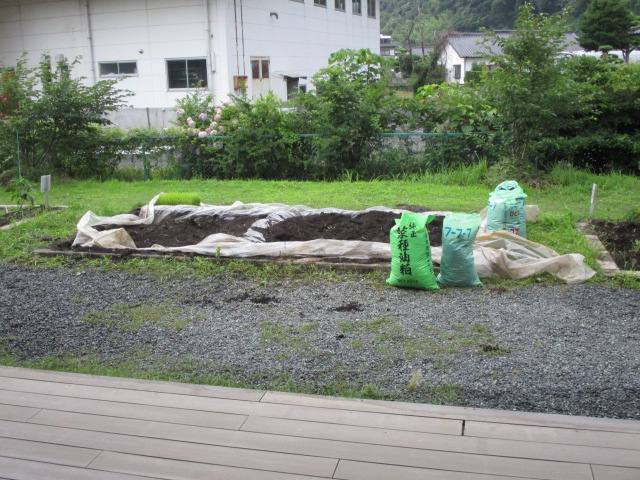田