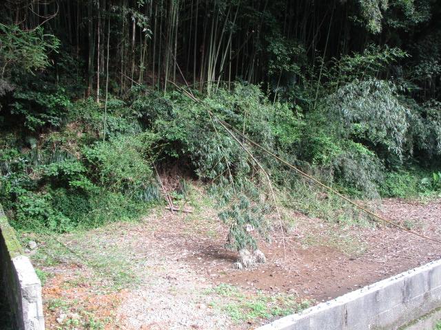 道