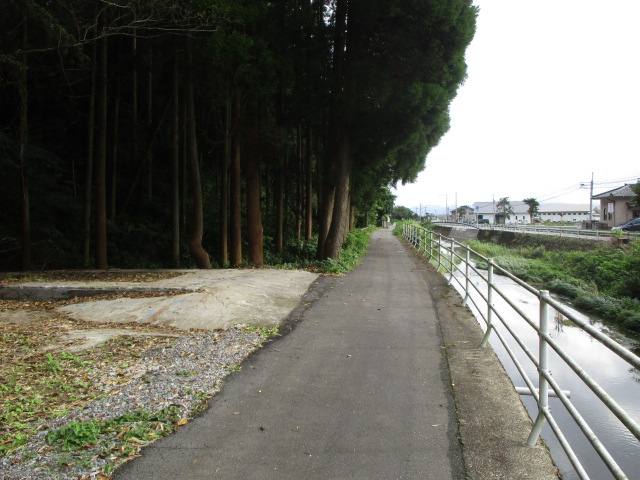 道