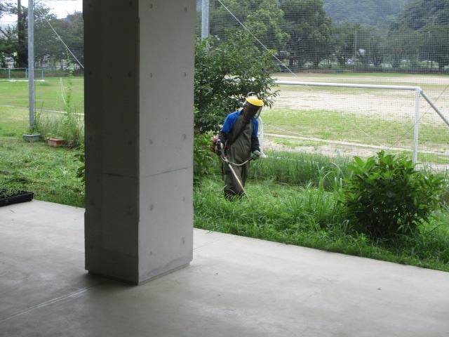 草