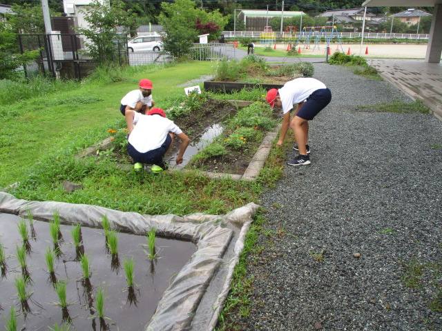 6年