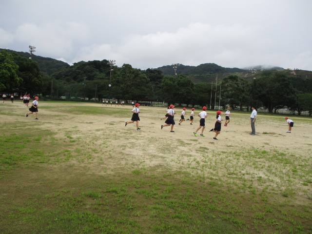 朝