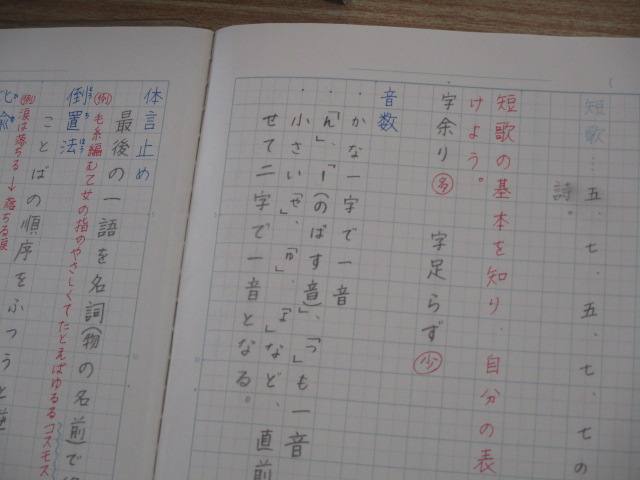5年生