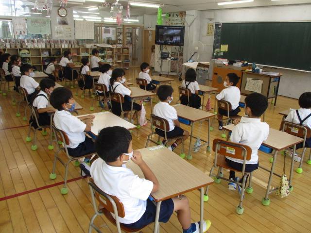 集会