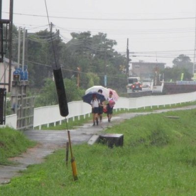 雨