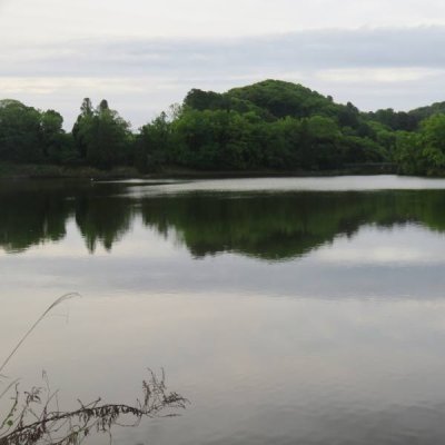 立岡池