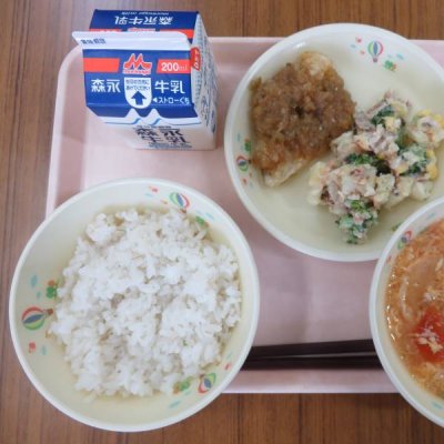 給食