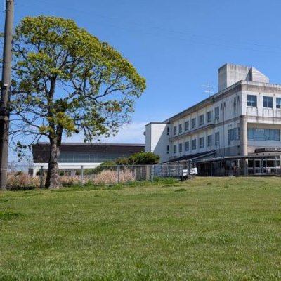 学校だより13