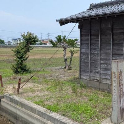 学校だより11