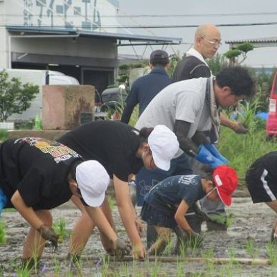 学校だより15