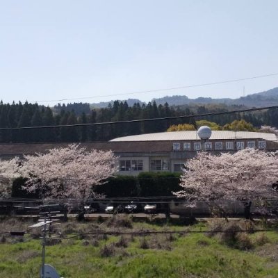 桜と緑川小