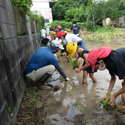 田植え１