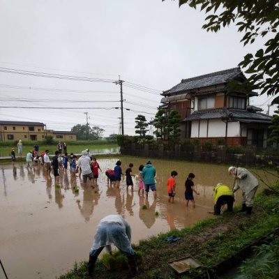 田植え