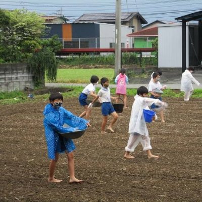 肥料まき１