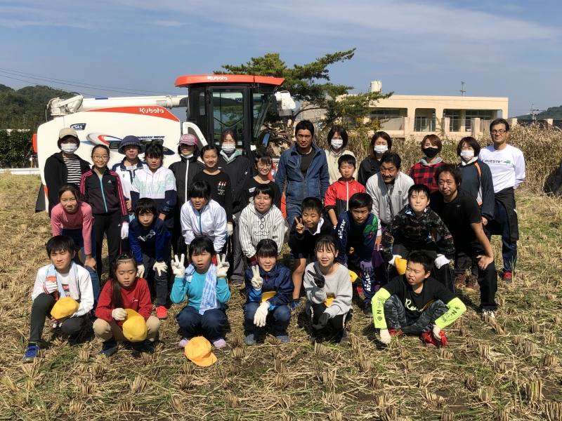 稲刈り12