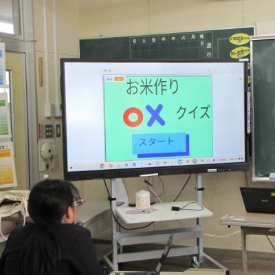 活動の様子