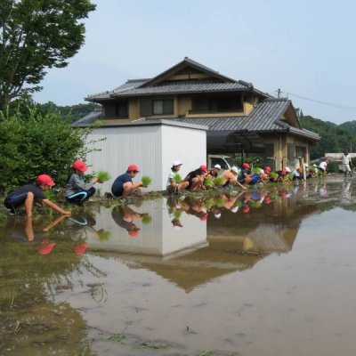 田植え１