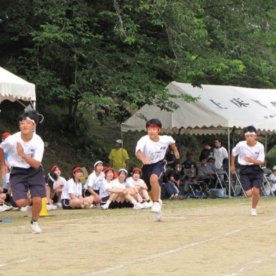活動の様子