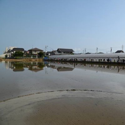 田植え１