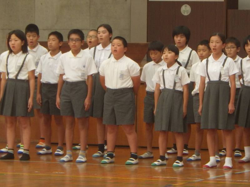 5年3