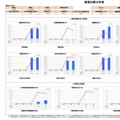 経営分析比較表