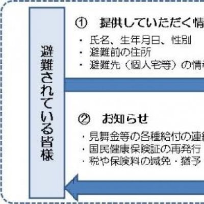 全国避難者情報システムの概要の画像