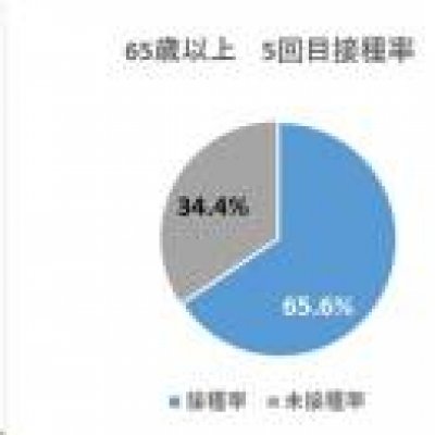 接種率６５歳以上