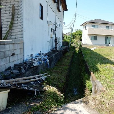 写真１