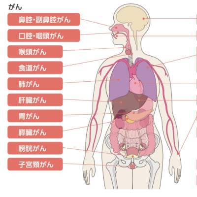 喫煙により、様々な健康被害を及ぼします。