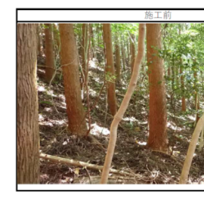 森林整備画像2