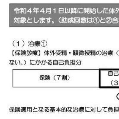 生殖補助医療の対象1