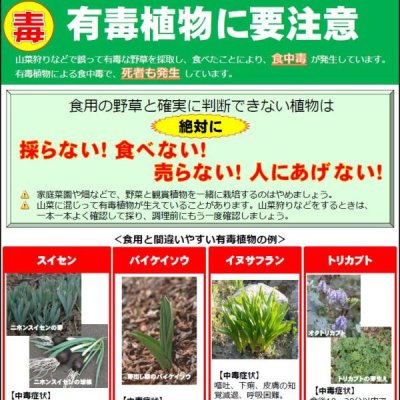有毒植物注意リーフレット