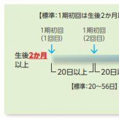 接種スケジュール