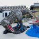 ティラノサウルスVSモササウルス